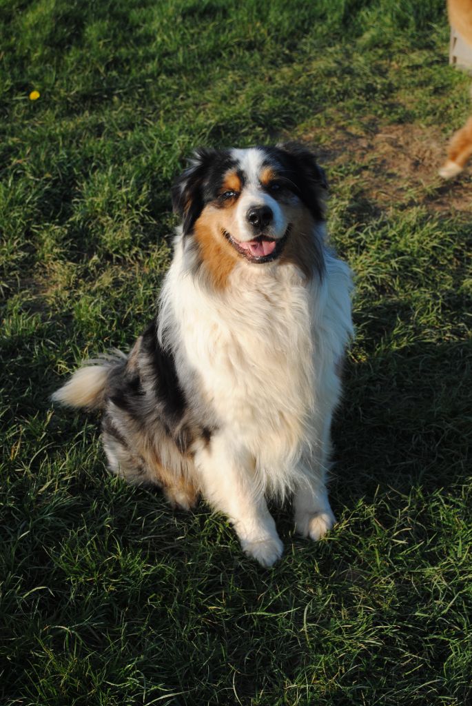 Gainsbourd nÃ© geo Of Hard Mountains