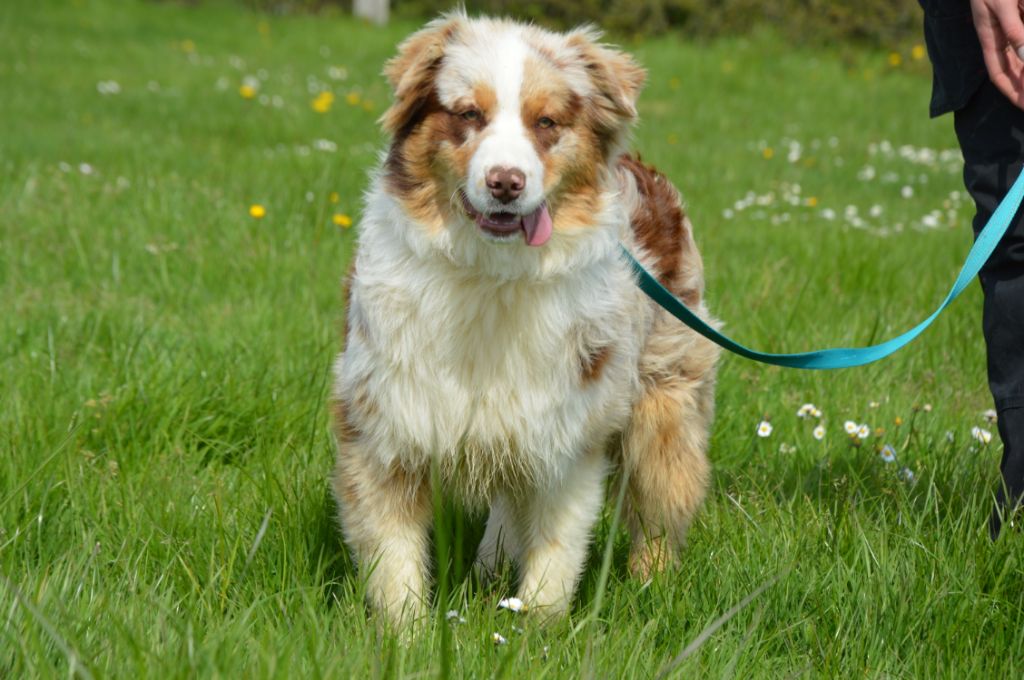 Publication : Du Mont Des Quatre Lunes