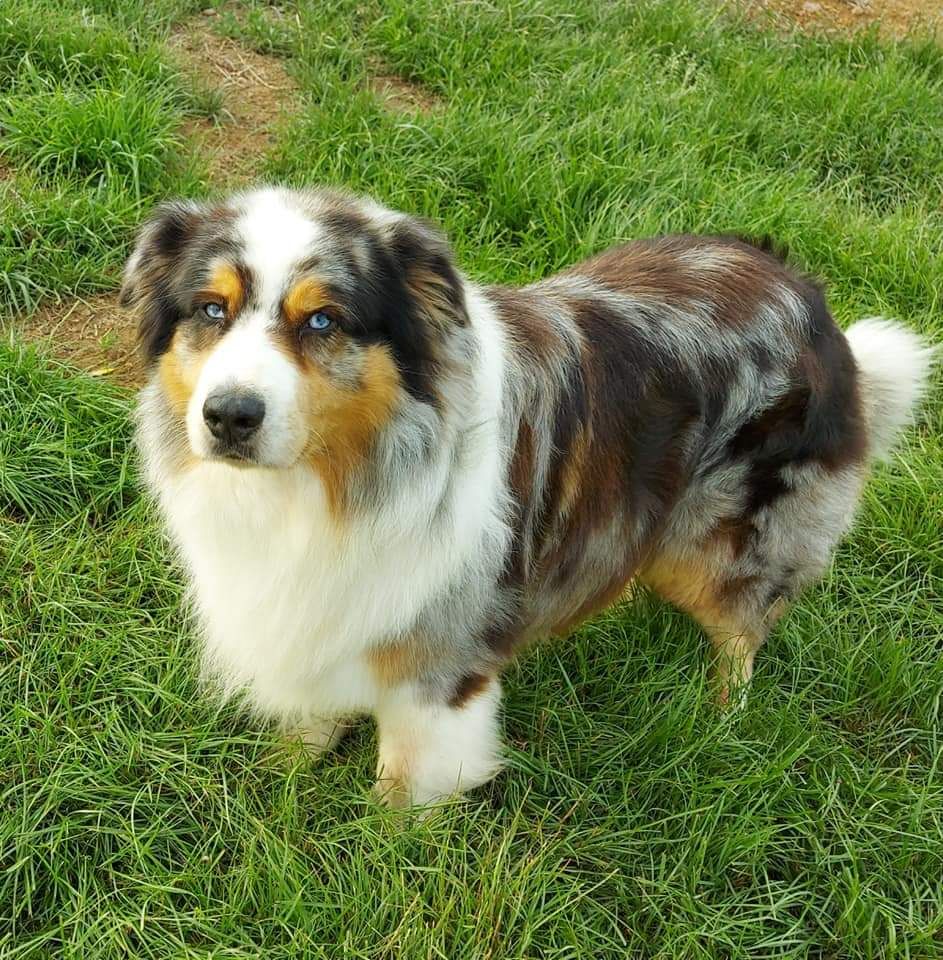 Gainsbourd nÃ© geo Of Hard Mountains