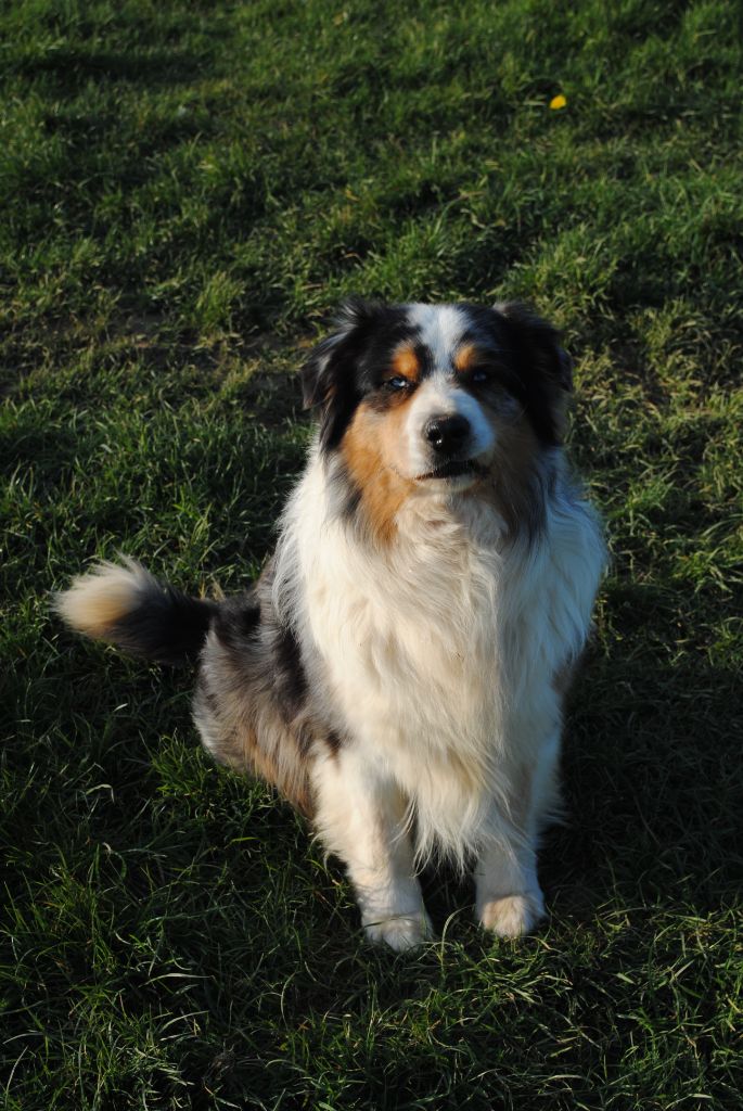 Gainsbourd nÃ© geo Of Hard Mountains