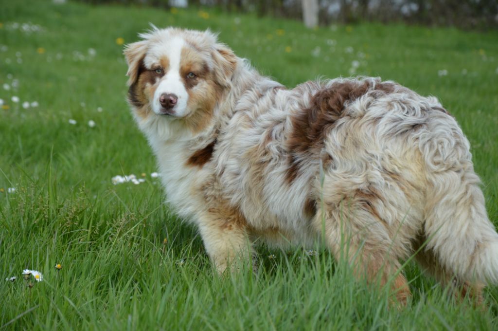 Publication : Du Mont Des Quatre Lunes