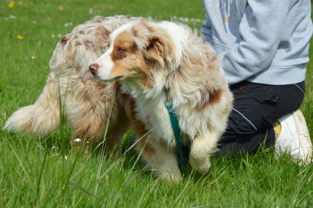 Publication : Du Mont Des Quatre Lunes