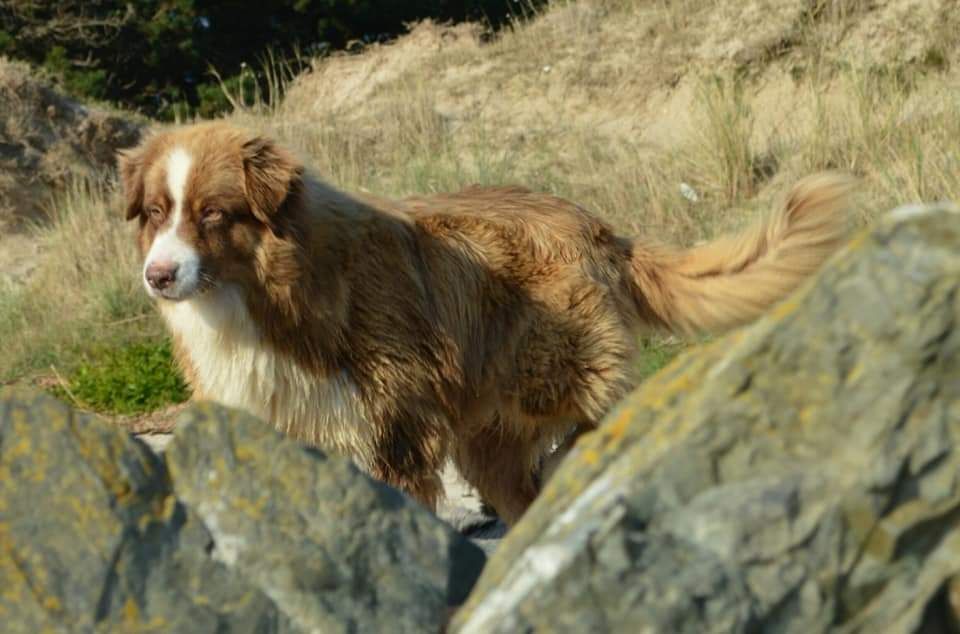 Publication : Du Palais Gaxare