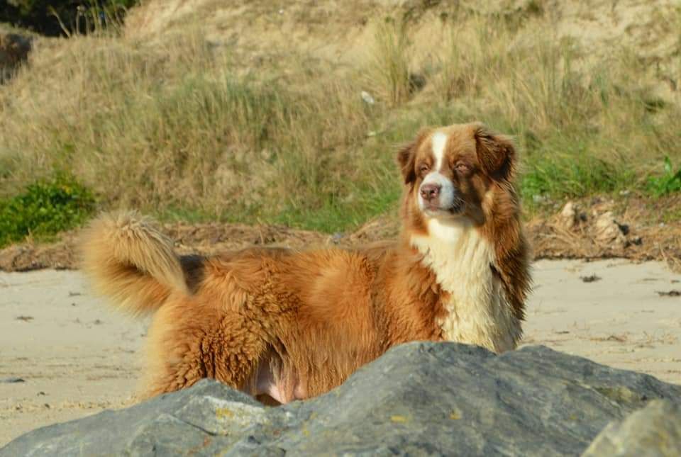 Publication : Du Palais Gaxare