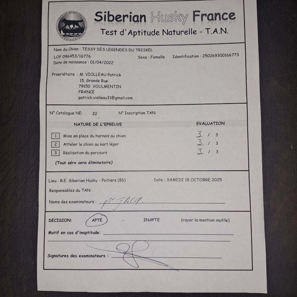 Tessy Des Legendes Du Triskel