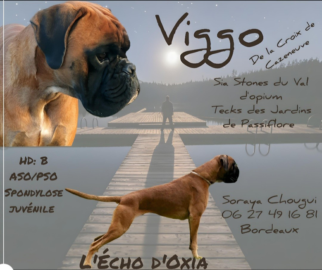  Viggo de la Croix de Cazeneuve