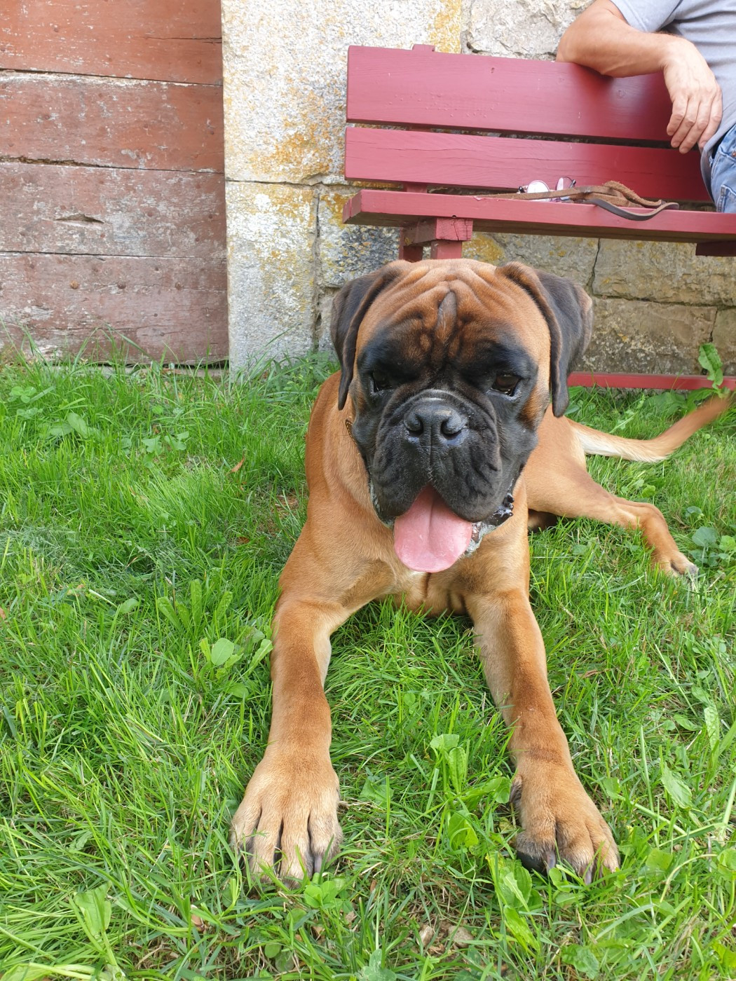  Viggo de la Croix de Cazeneuve