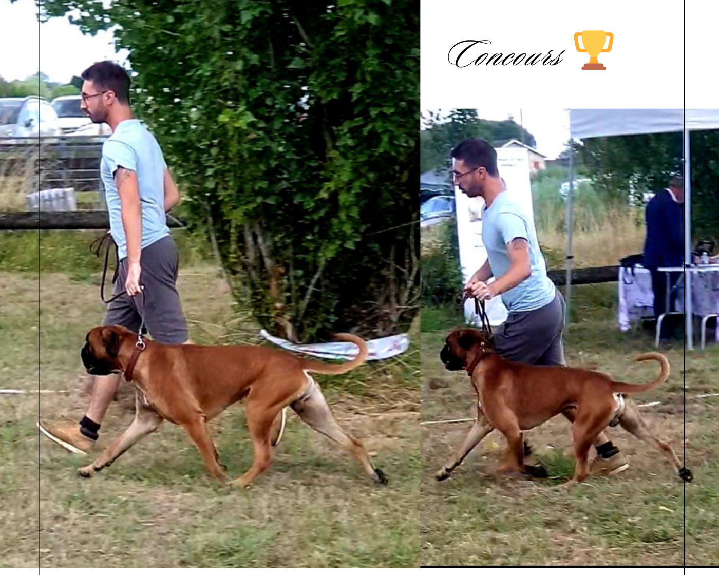  Viggo de la Croix de Cazeneuve