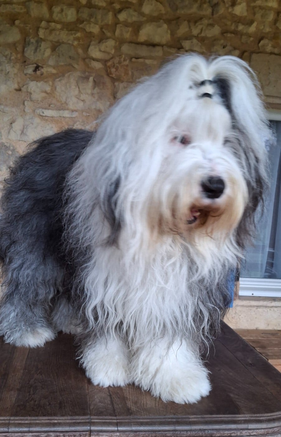 Publication : Des Blanches Pierres