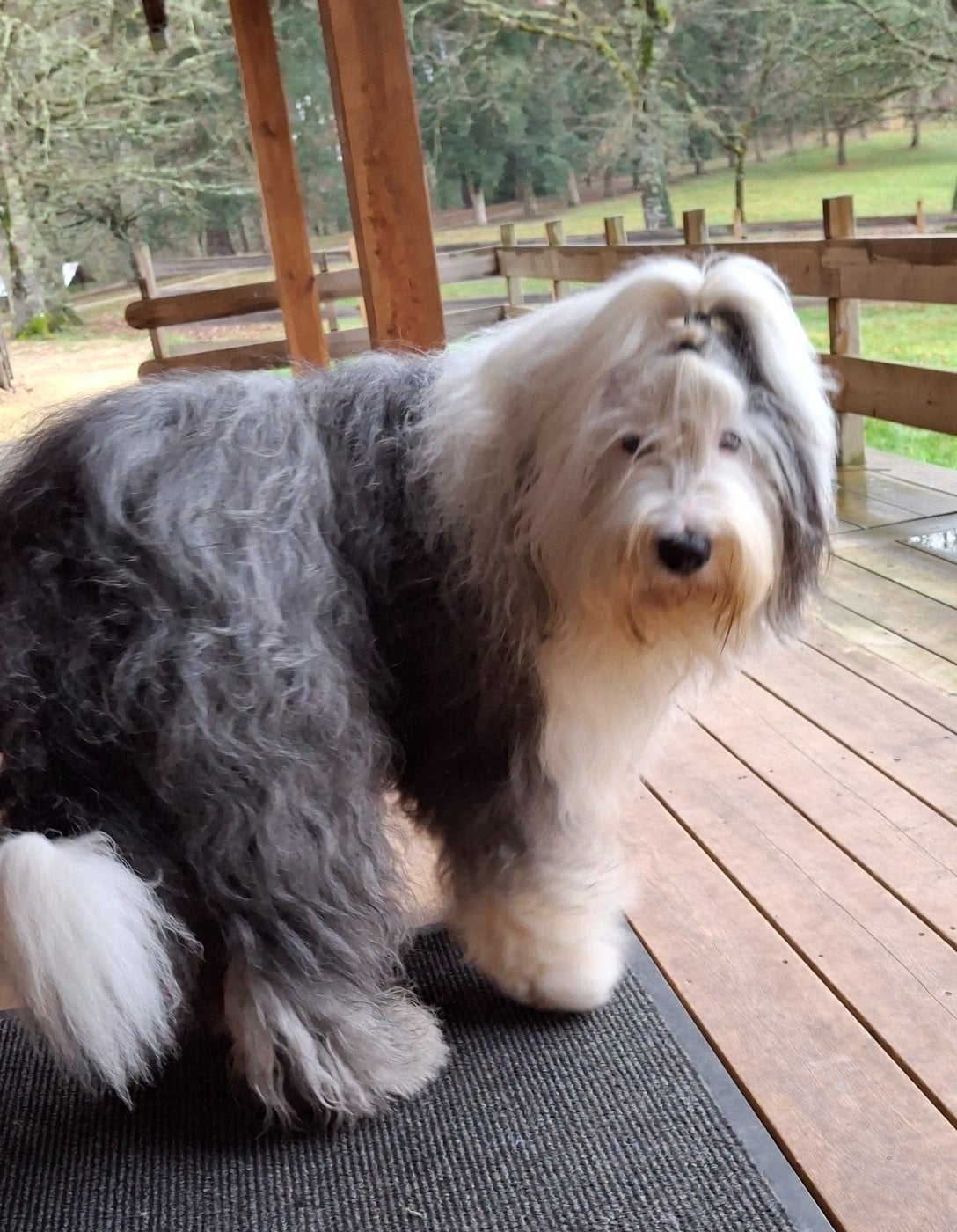 Publication : Des Blanches Pierres