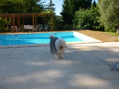 Des Blanches Pierres