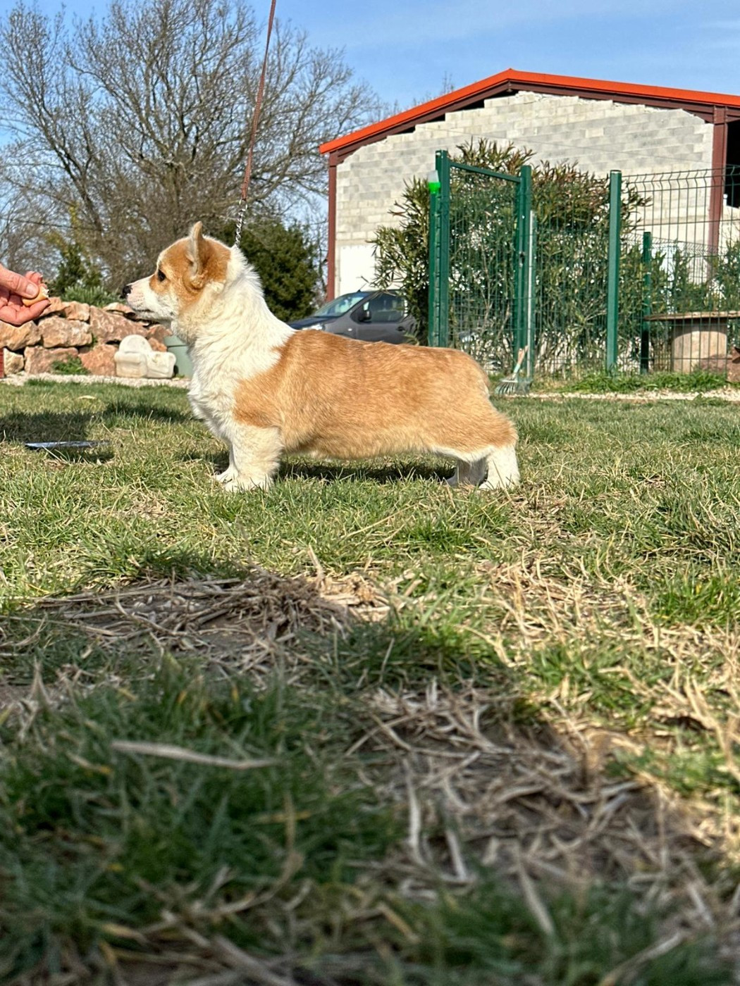 Publication : Des Crocs Du Mas