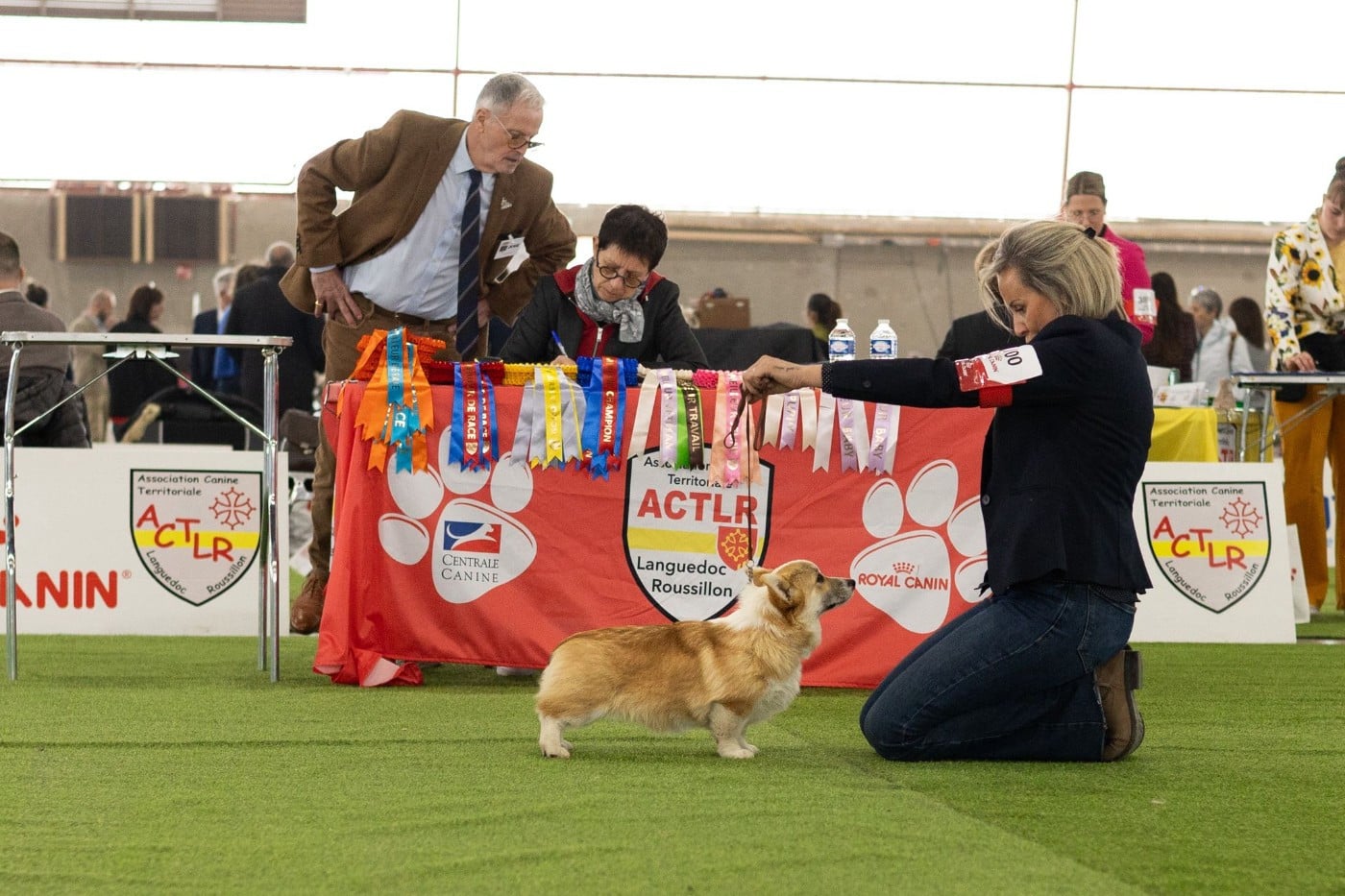 Publication : Des Crocs Du Mas