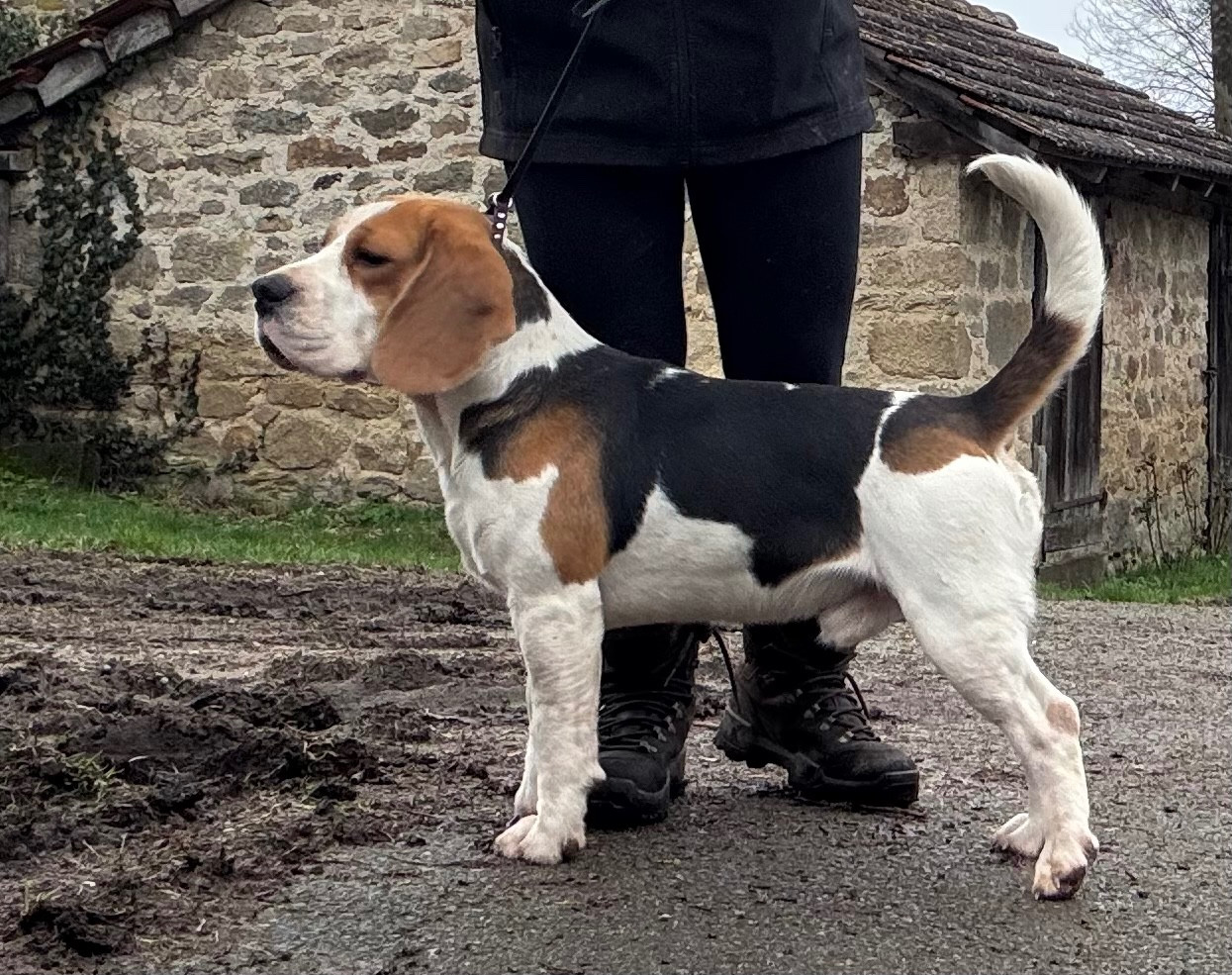 Vainqueur de la Cascade d'Orion