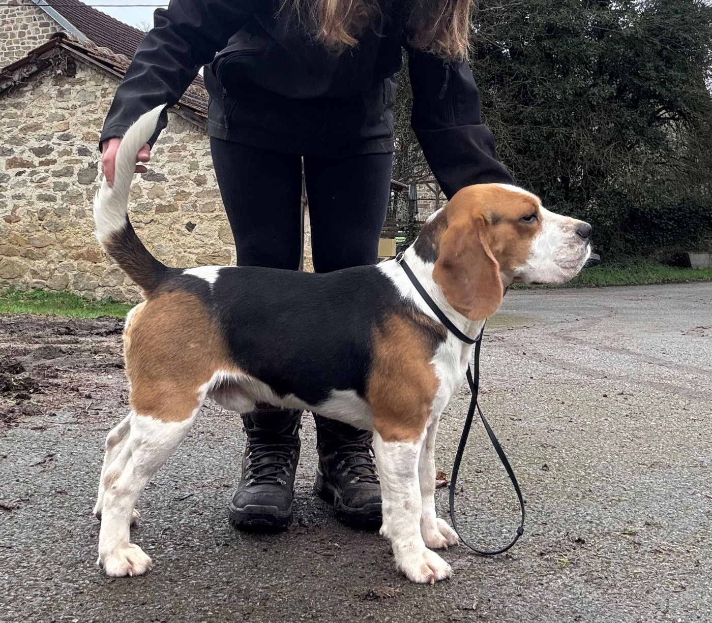 Vainqueur de la Cascade d'Orion