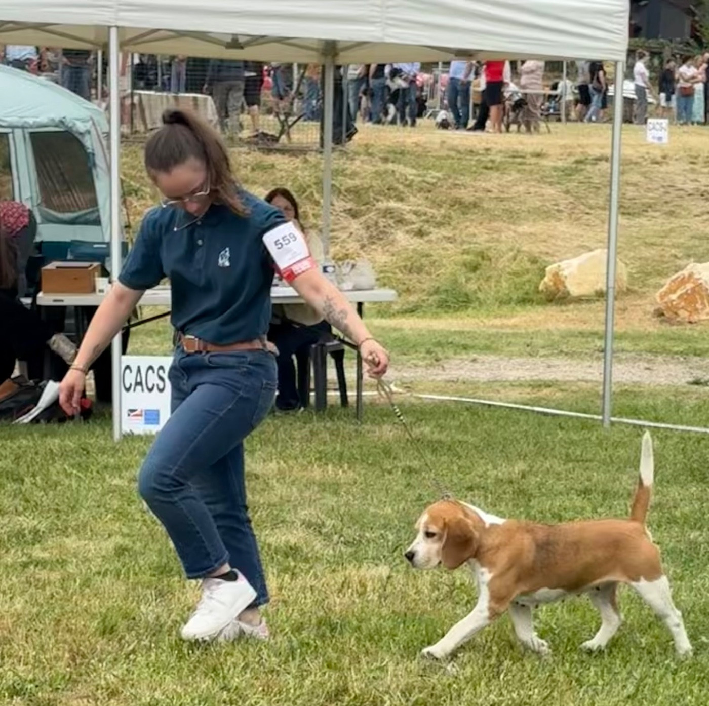 Simba Des Chasseurs Du Temps - 1ère Exc Classe Ouverte Femelle, CACS, Meilleur de Sexe Opposée