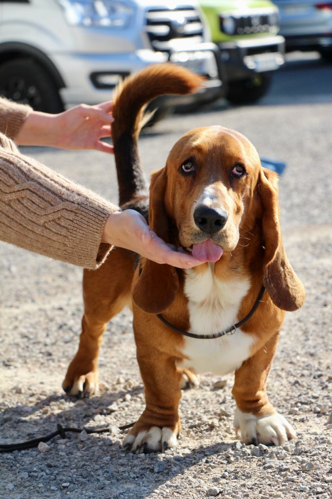 Voyou Des Poe D'Hina