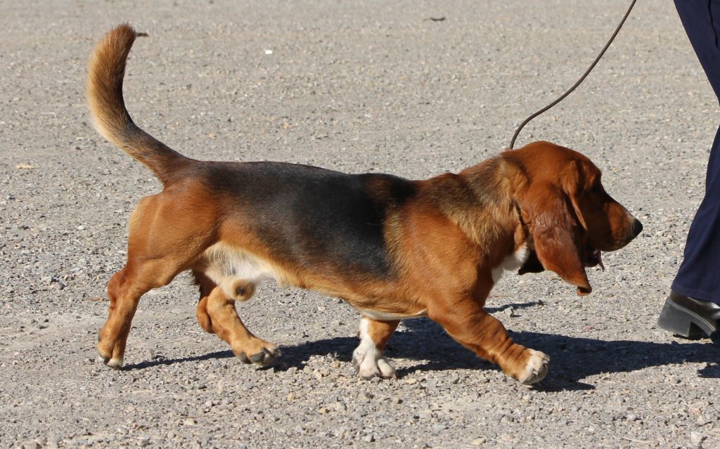 Voyou Des Poe D'Hina