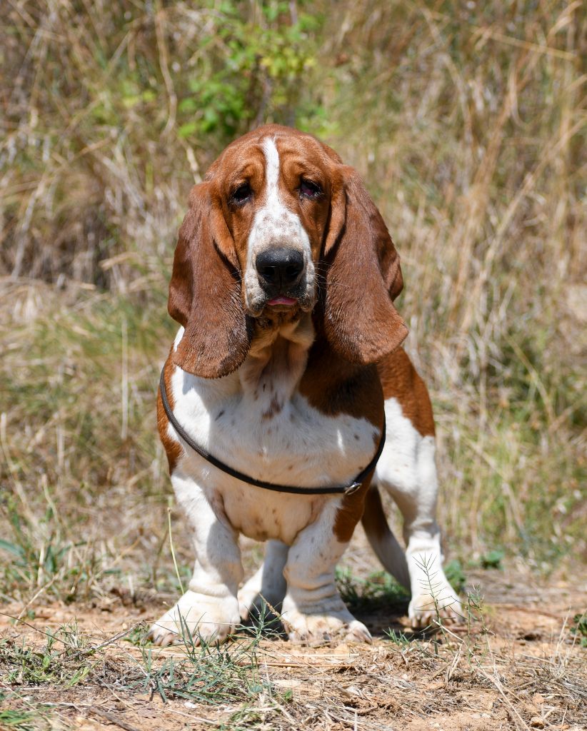 Vanya Des Poe D'Hina