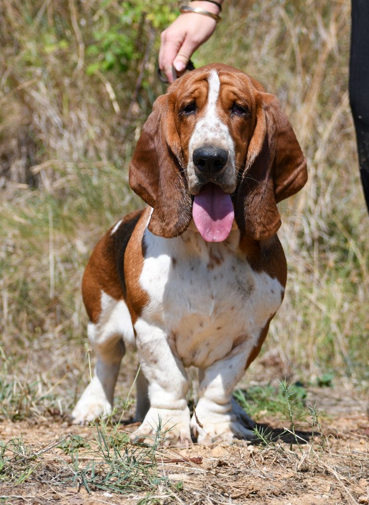 Vanya Des Poe D'Hina