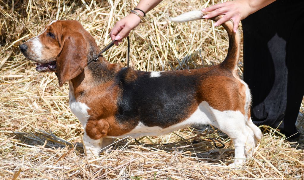 Vanya Des Poe D'Hina