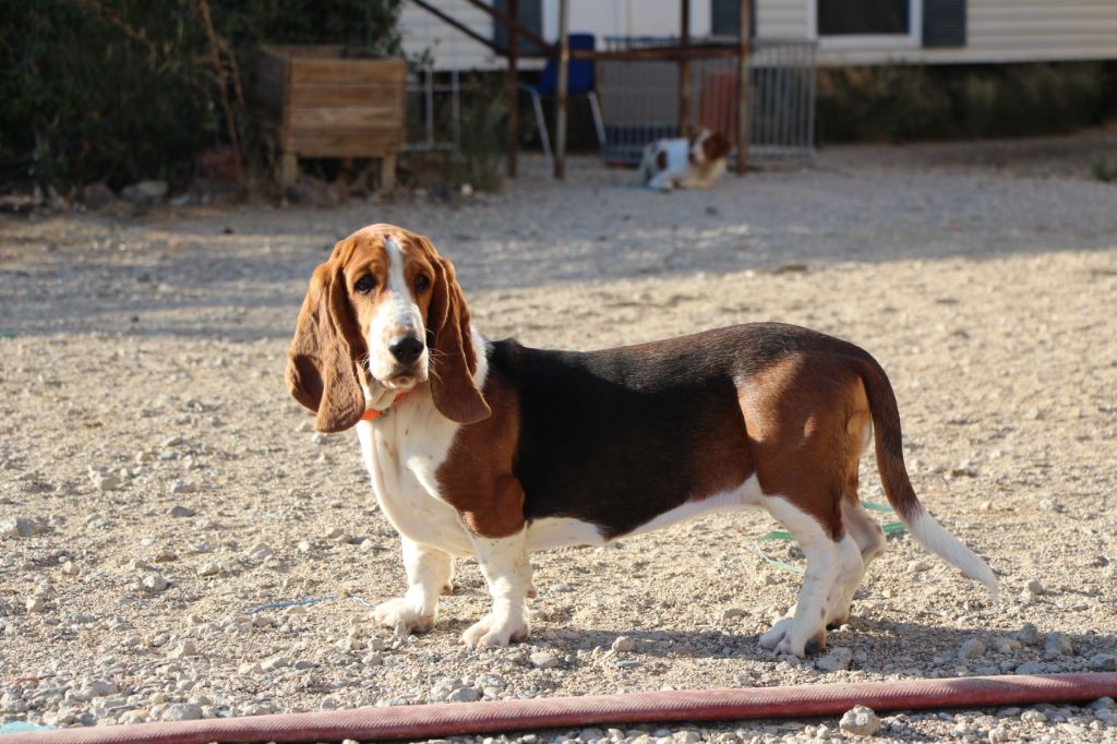 Ursanne des Cotes de la Saunade