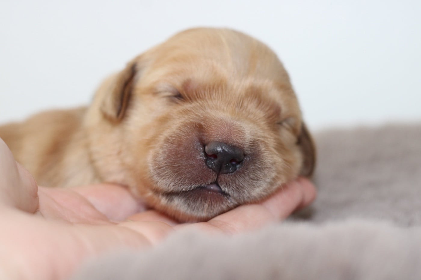 Another majesty Of Hawkchurch Cottage