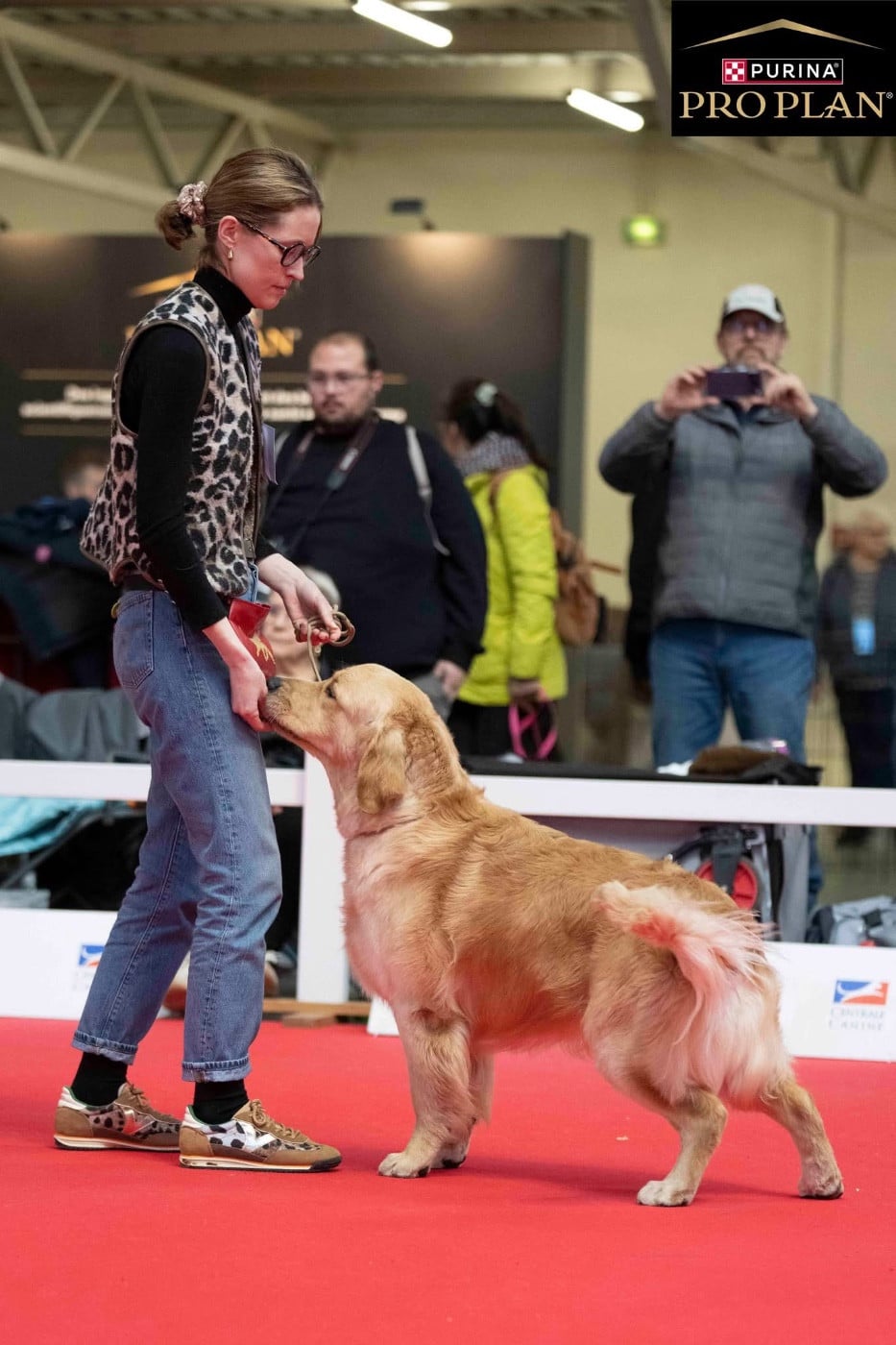 A glimpse of db dreams De La Petite Sulka