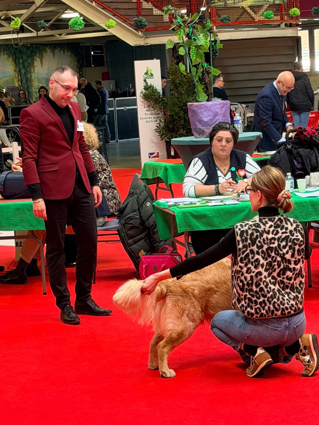 A glimpse of db dreams De La Petite Sulka