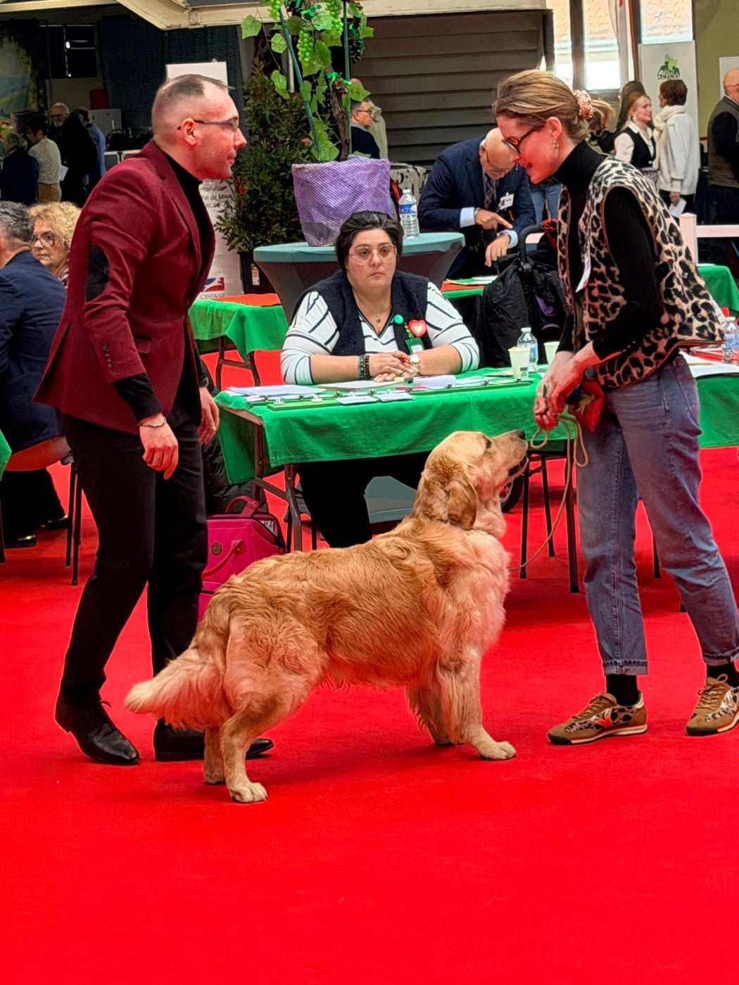 A glimpse of db dreams De La Petite Sulka