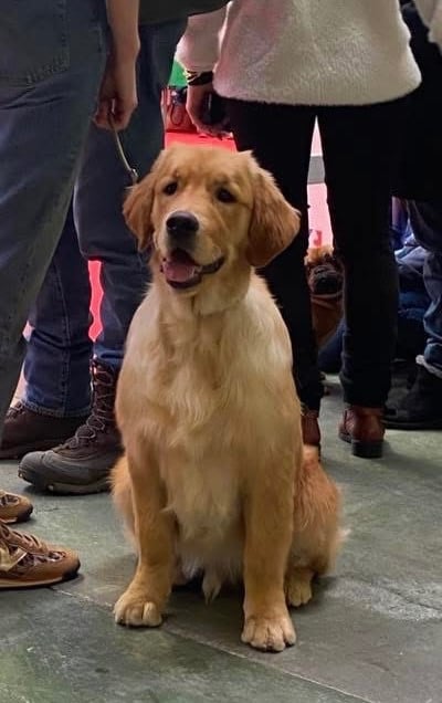 Publication : Of Hawkchurch Cottage Auteur : Marie Peroux