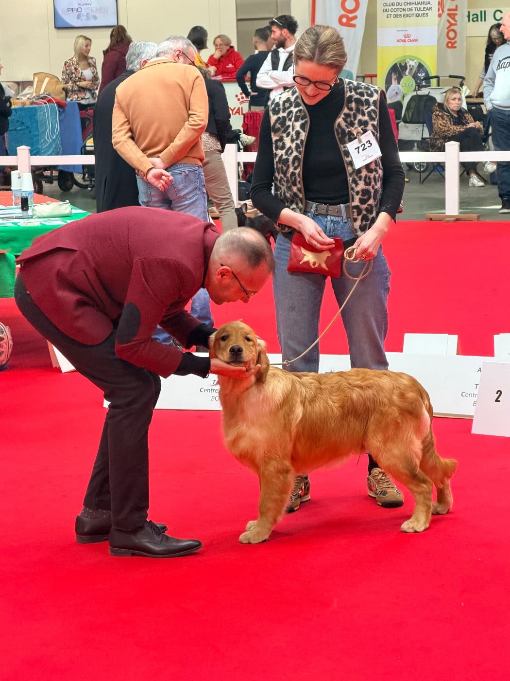 Publication : Of Hawkchurch Cottage Auteur : Marie Peroux