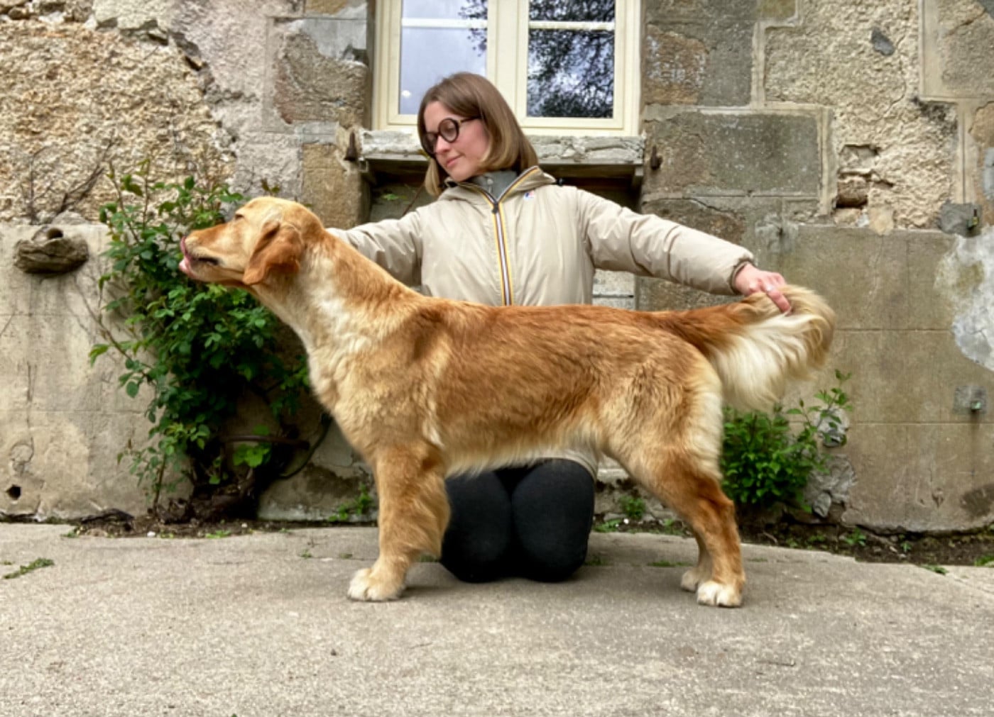 Catch The Dream Violet evergarden