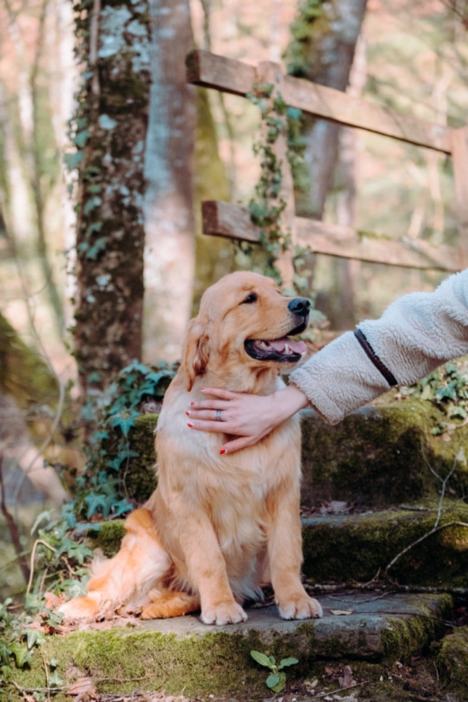 Another majesty Of Hawkchurch Cottage