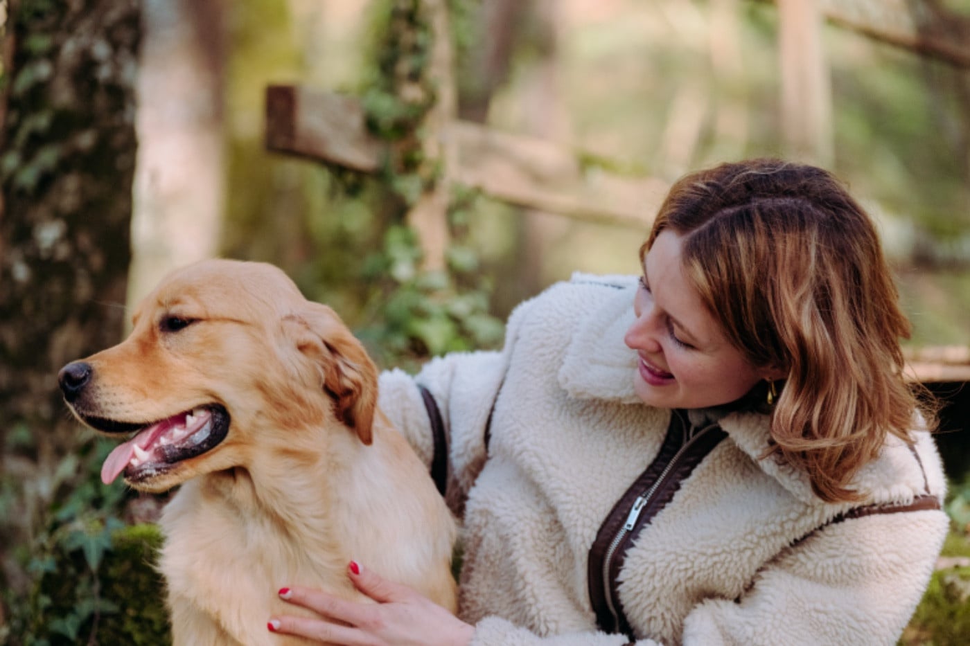 Another majesty Of Hawkchurch Cottage