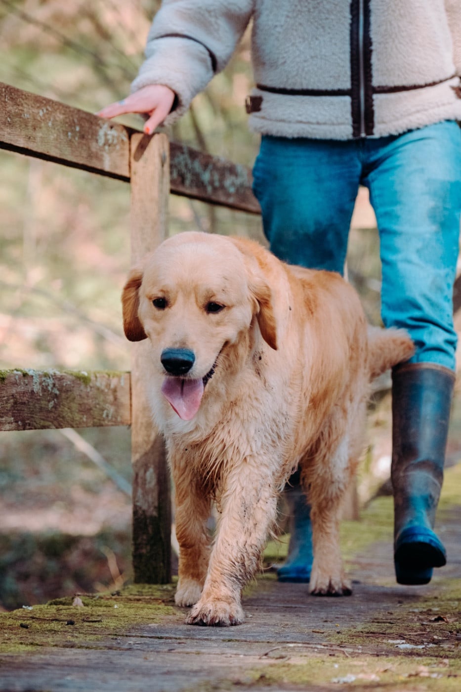 A glimpse of db dreams De La Petite Sulka