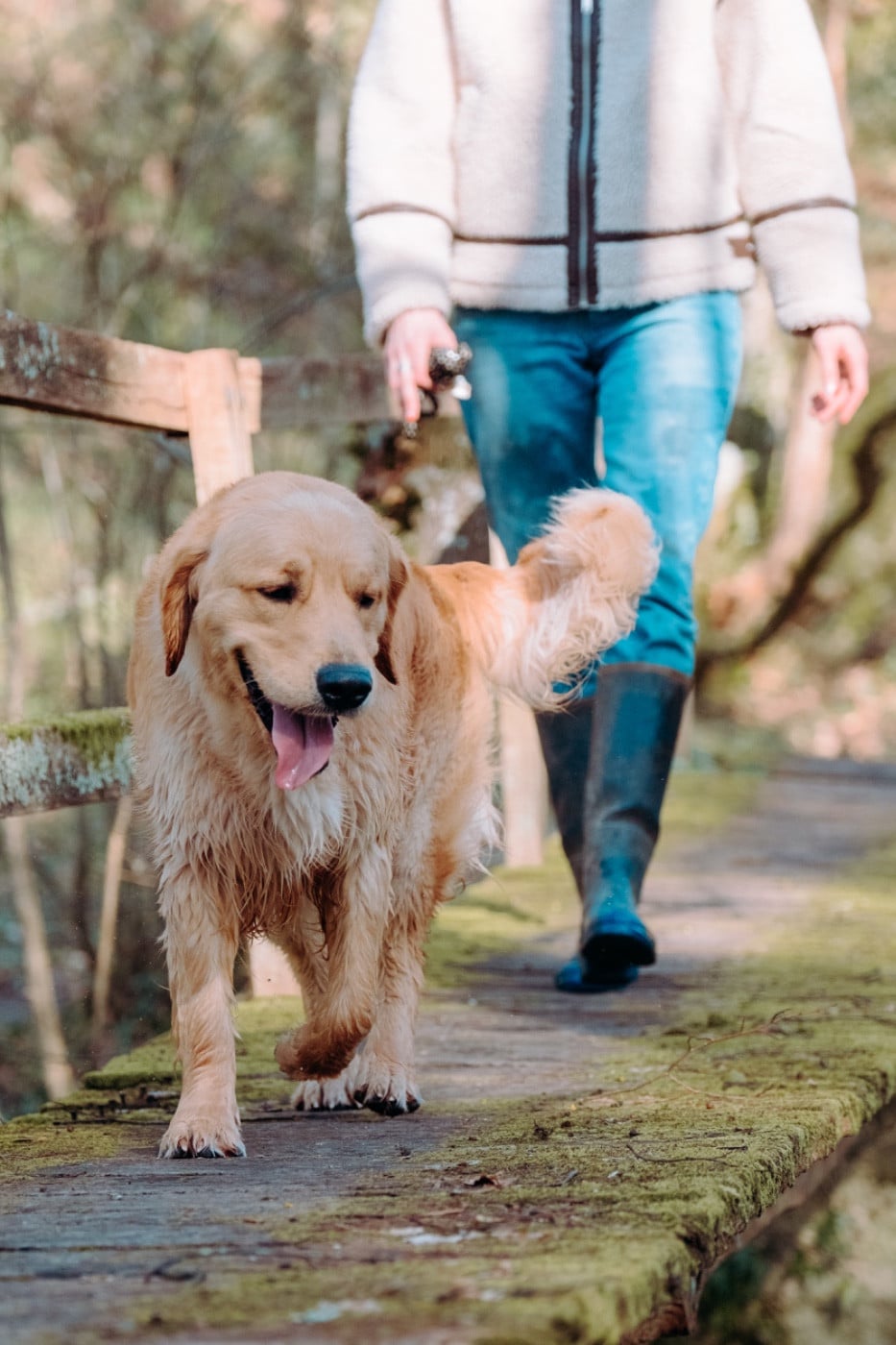 A glimpse of db dreams De La Petite Sulka