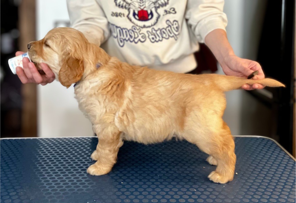 Another majesty Of Hawkchurch Cottage