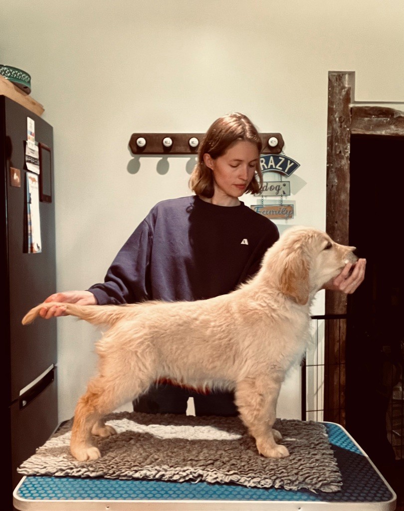 A glimpse of db dreams De La Petite Sulka