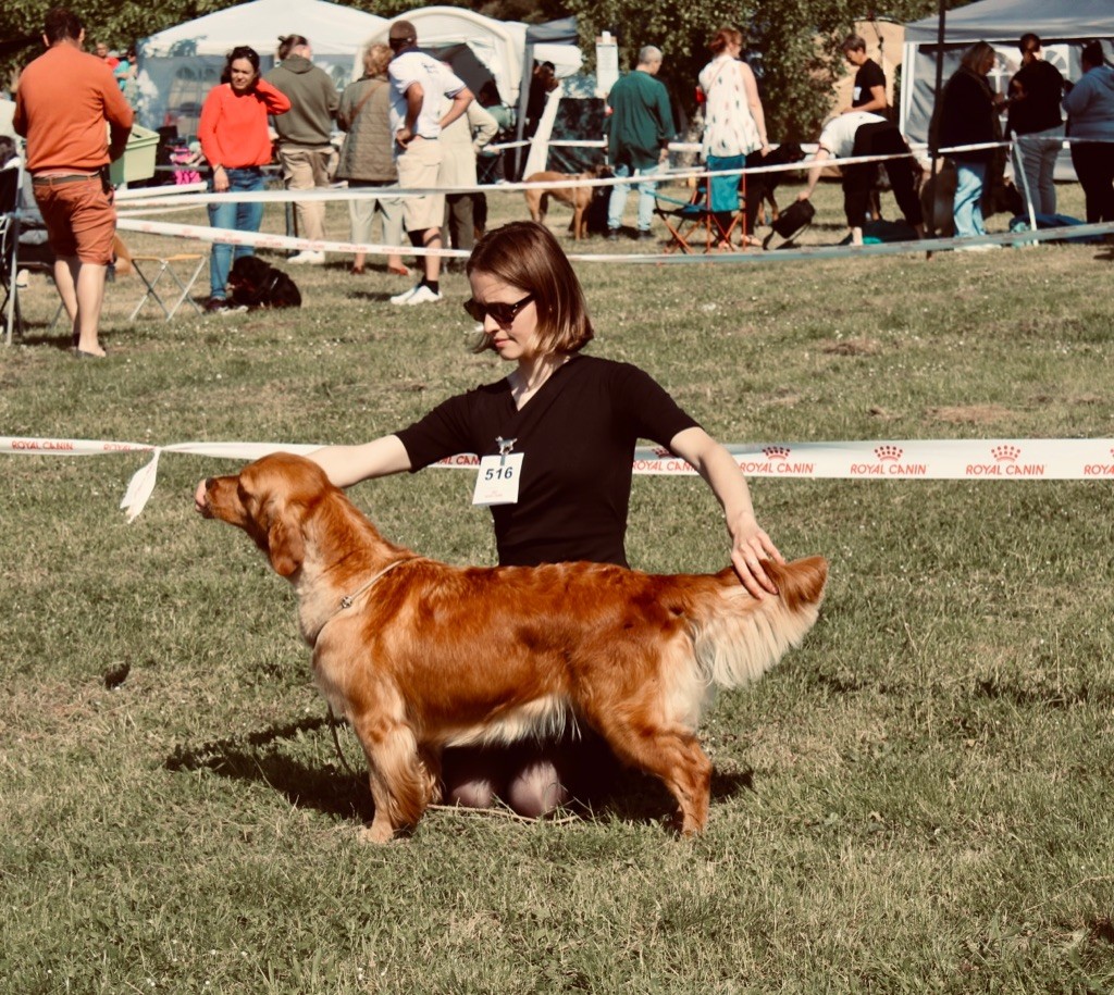 Stella De La Petite Sulka - 2ème Excellent - RCACS - Cl Ouverte