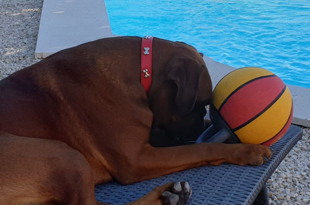 Publication : (Sans Affixe) Auteur : Emilie RODRIGUEZ