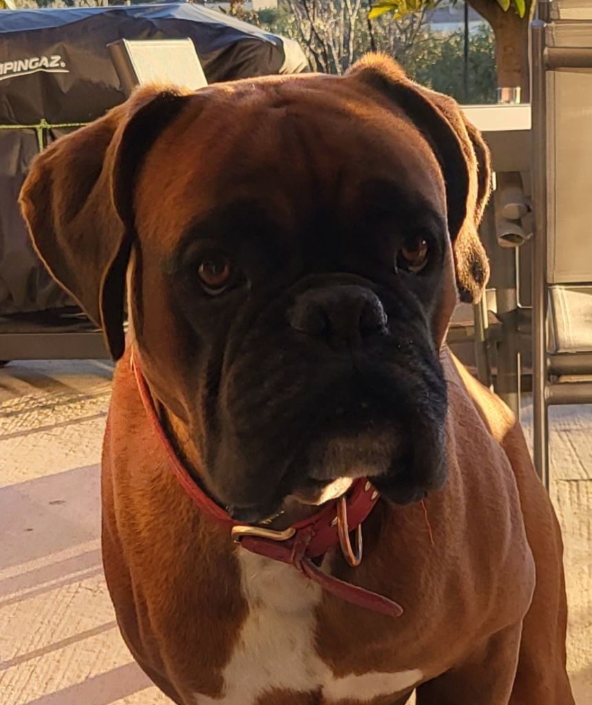 Publication : (Sans Affixe) Auteur : Emilie RODRIGUEZ