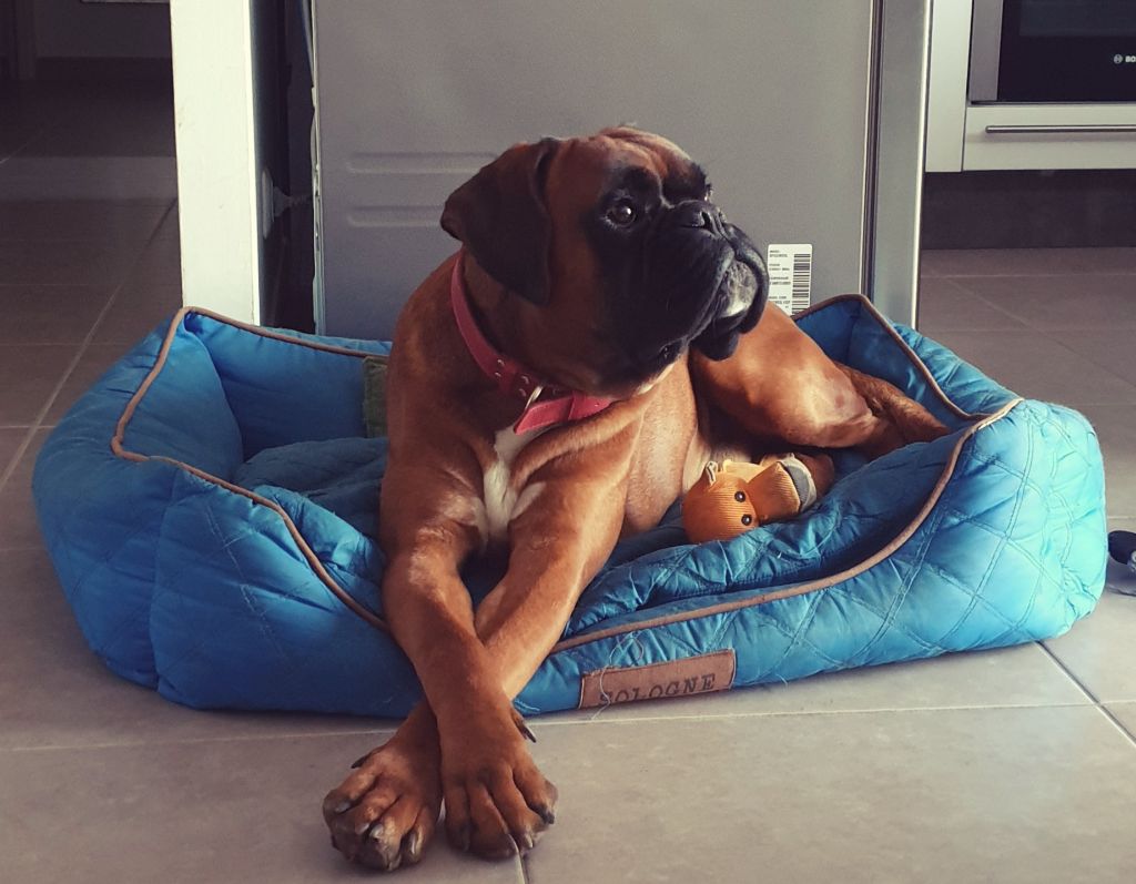 Publication : (Sans Affixe) Auteur : Emilie RODRIGUEZ