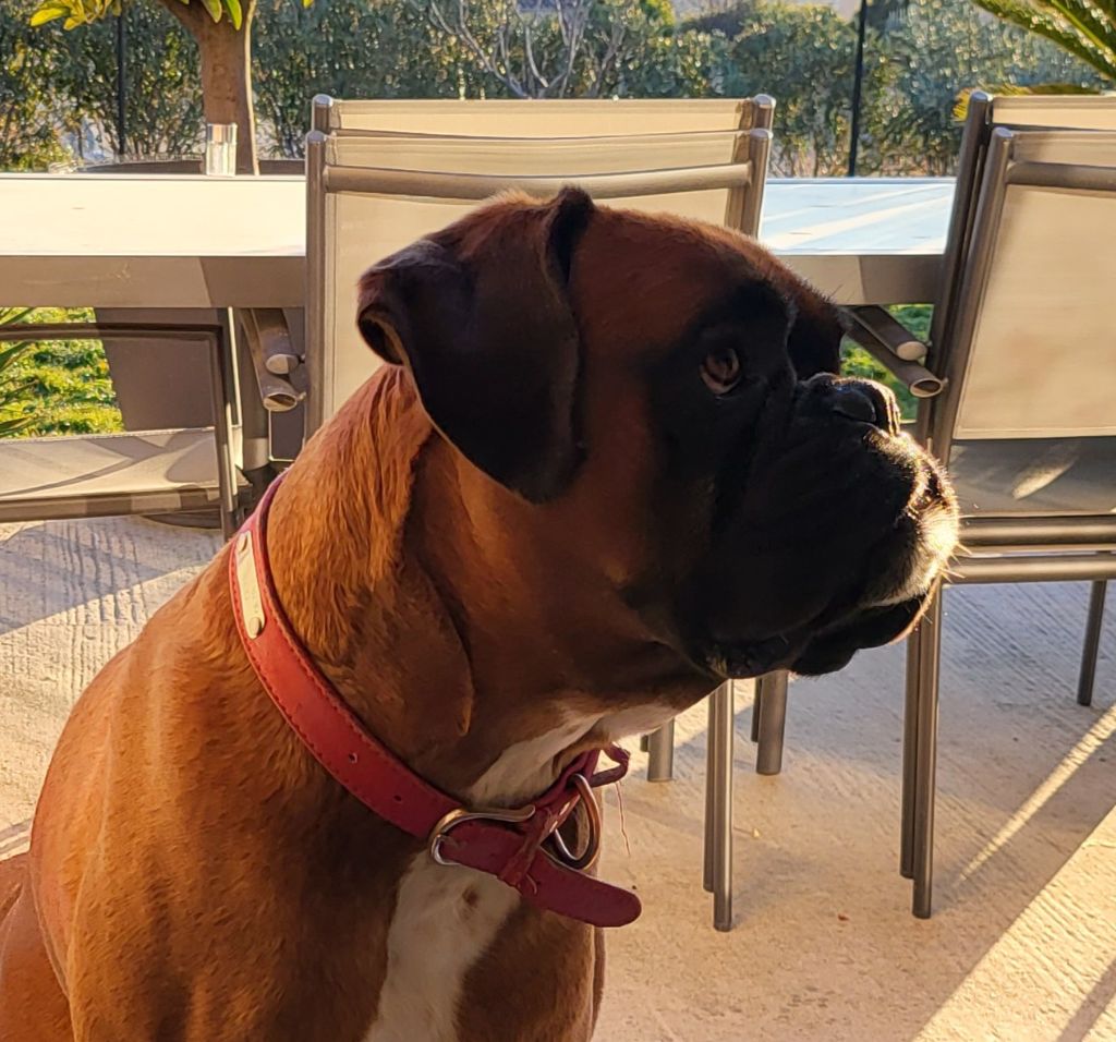 Publication : (Sans Affixe) Auteur : Emilie RODRIGUEZ