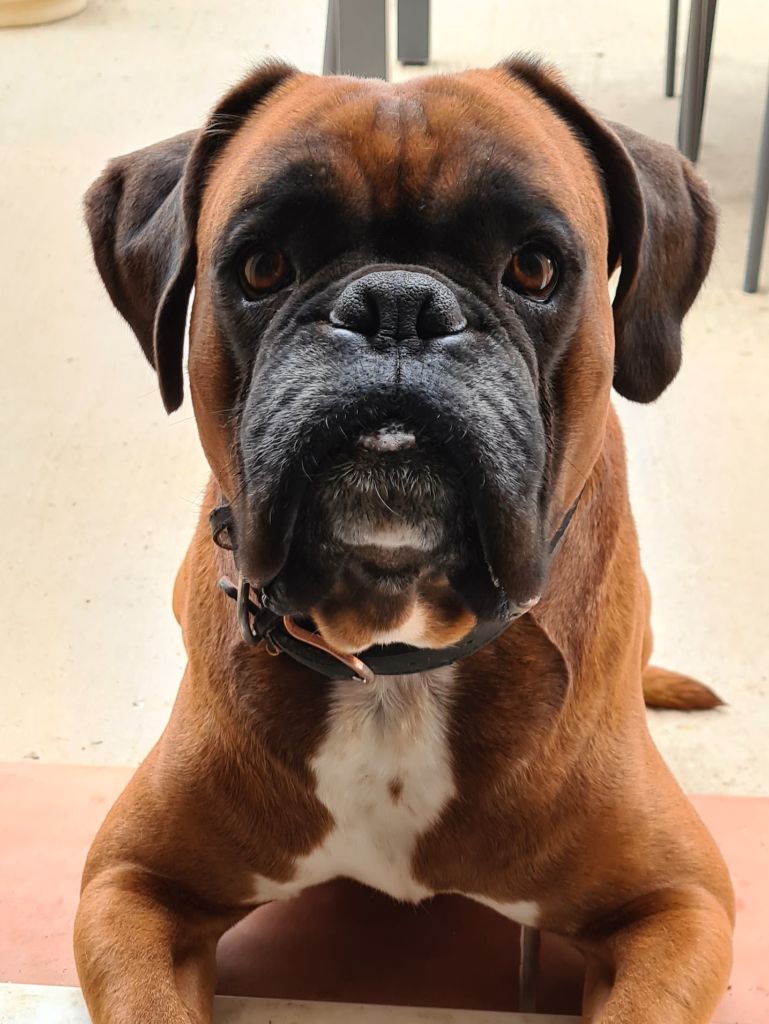 Publication : (Sans Affixe) Auteur : Emilie RODRIGUEZ