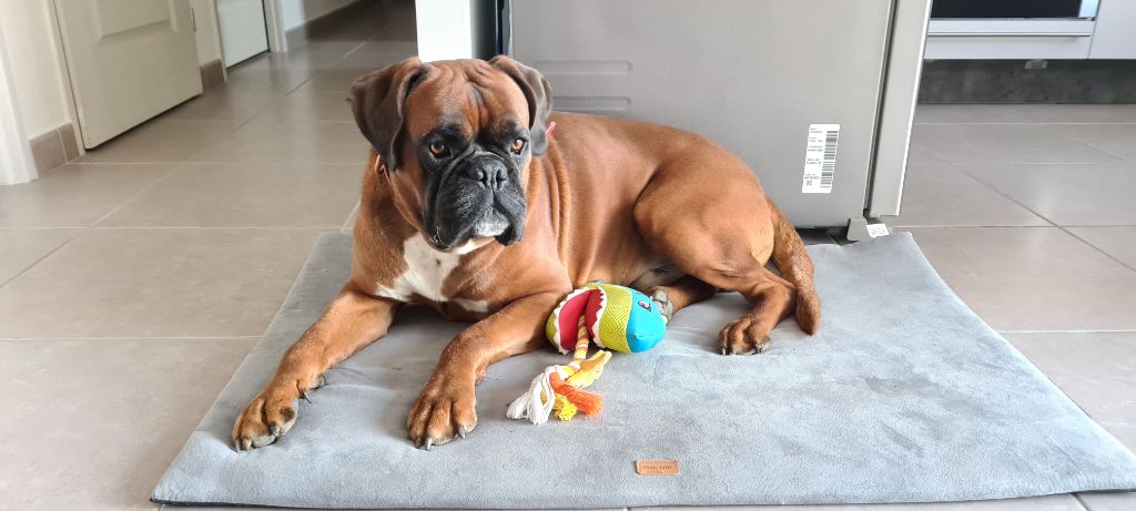 Publication : (Sans Affixe) Auteur : Emilie RODRIGUEZ