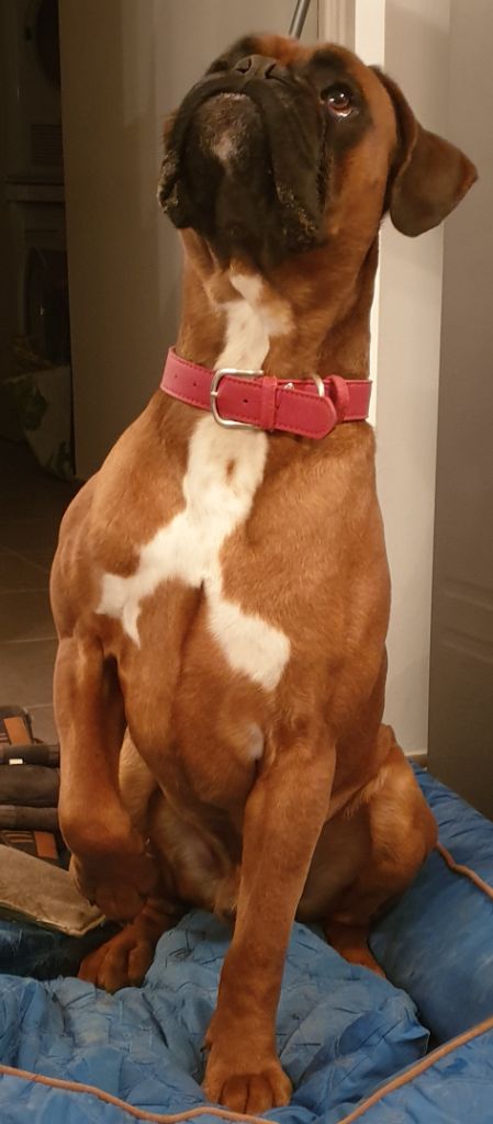 Publication : (Sans Affixe) Auteur : Emilie RODRIGUEZ