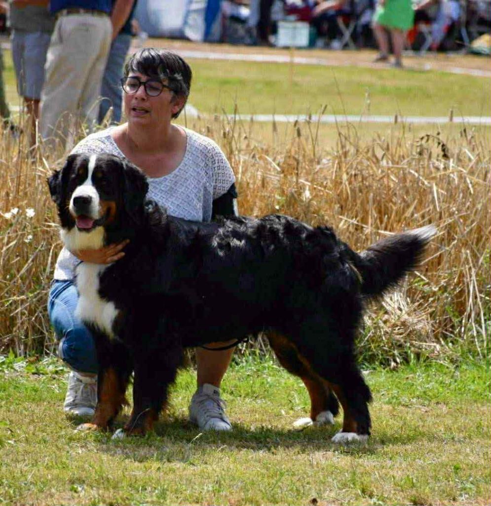 Utah beach De La Forêt Des Noisettes
