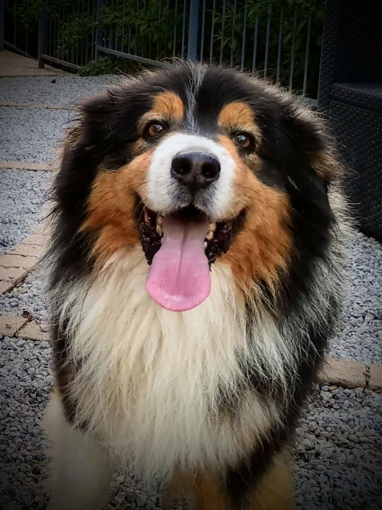 Publication : (Sans Affixe)