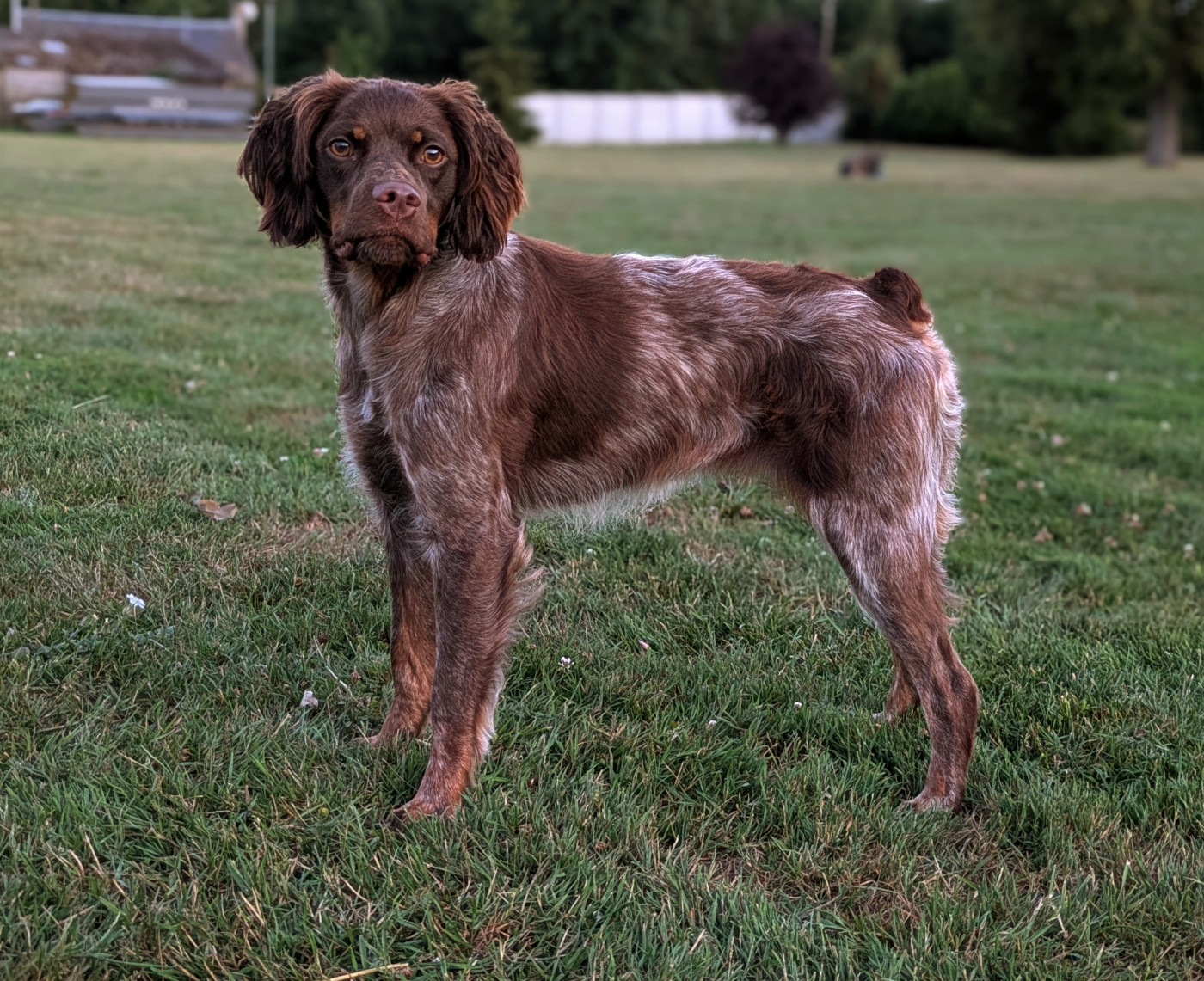 Unaïa Du Petit Bois De Royka